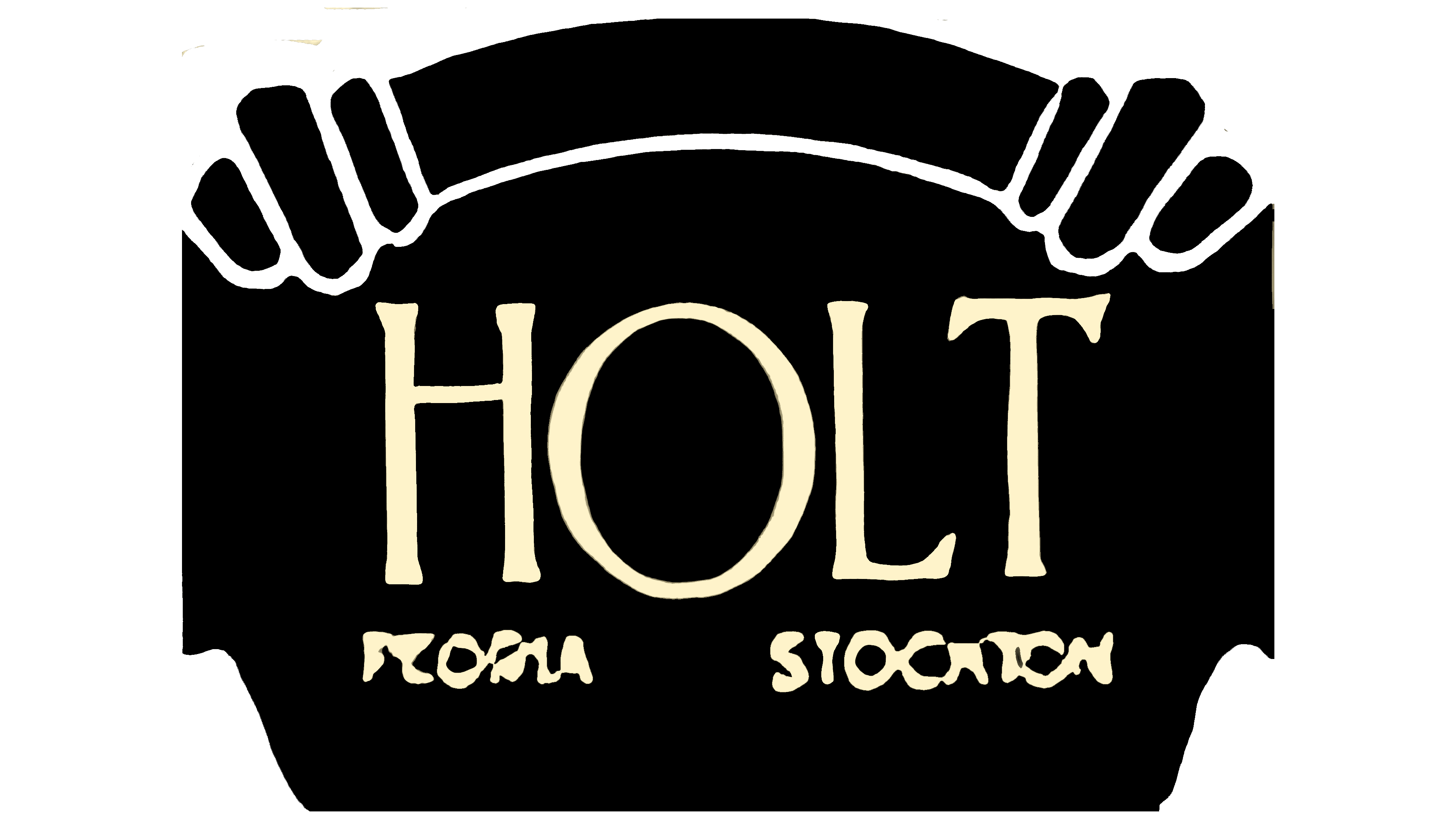 Holt 1917 1917 – 1925