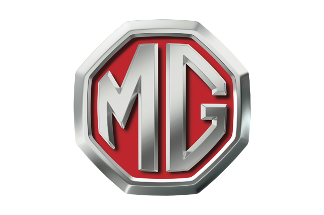 MG 2010
