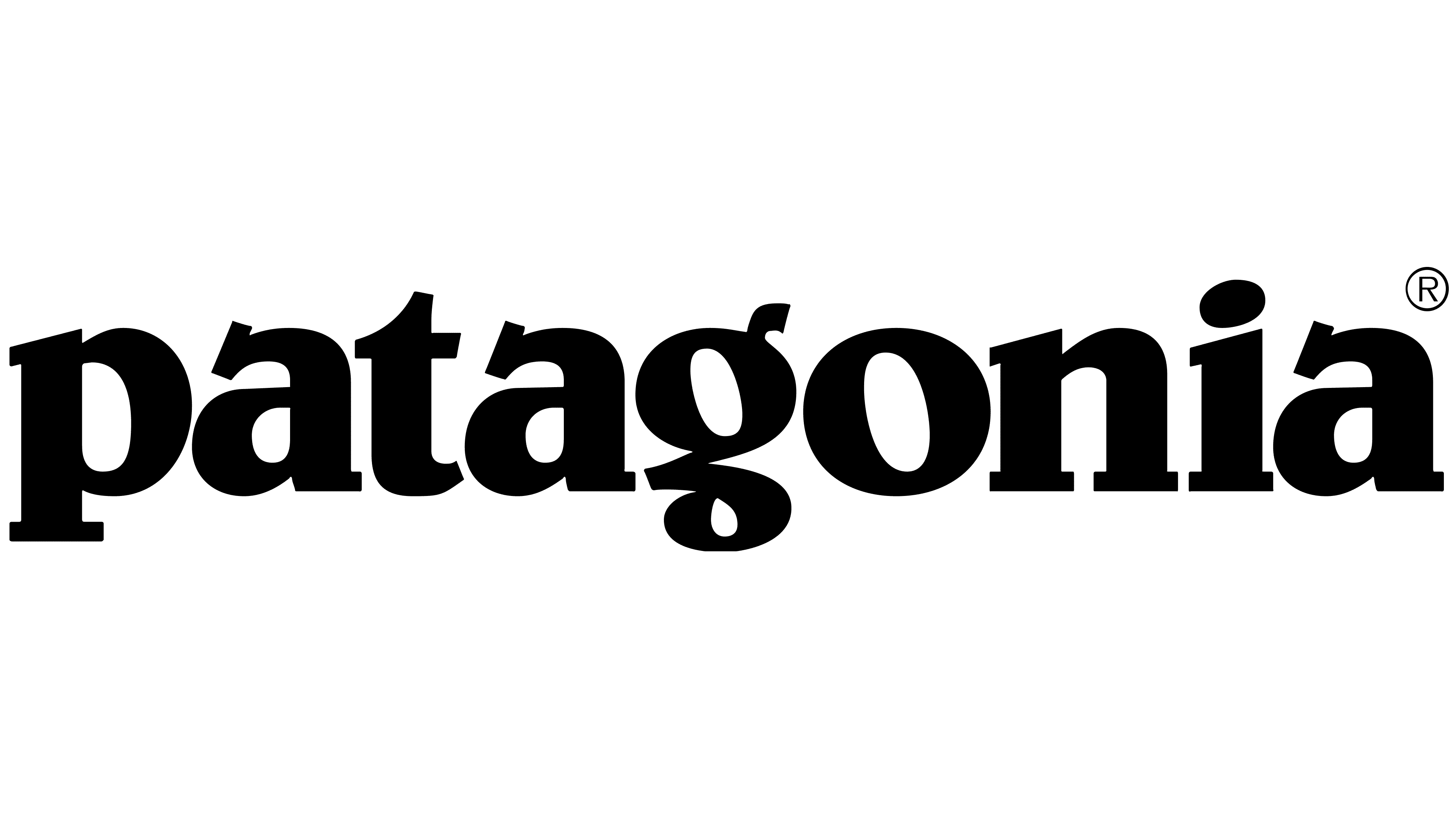 Logo von Patagonia