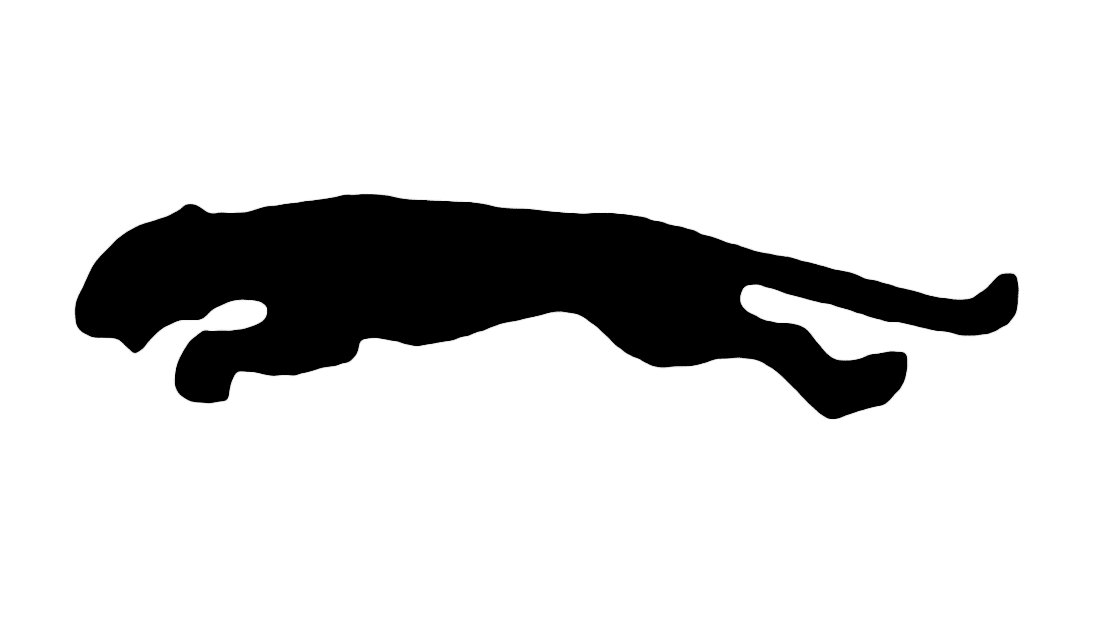 Puma 1968 1968 – 1970