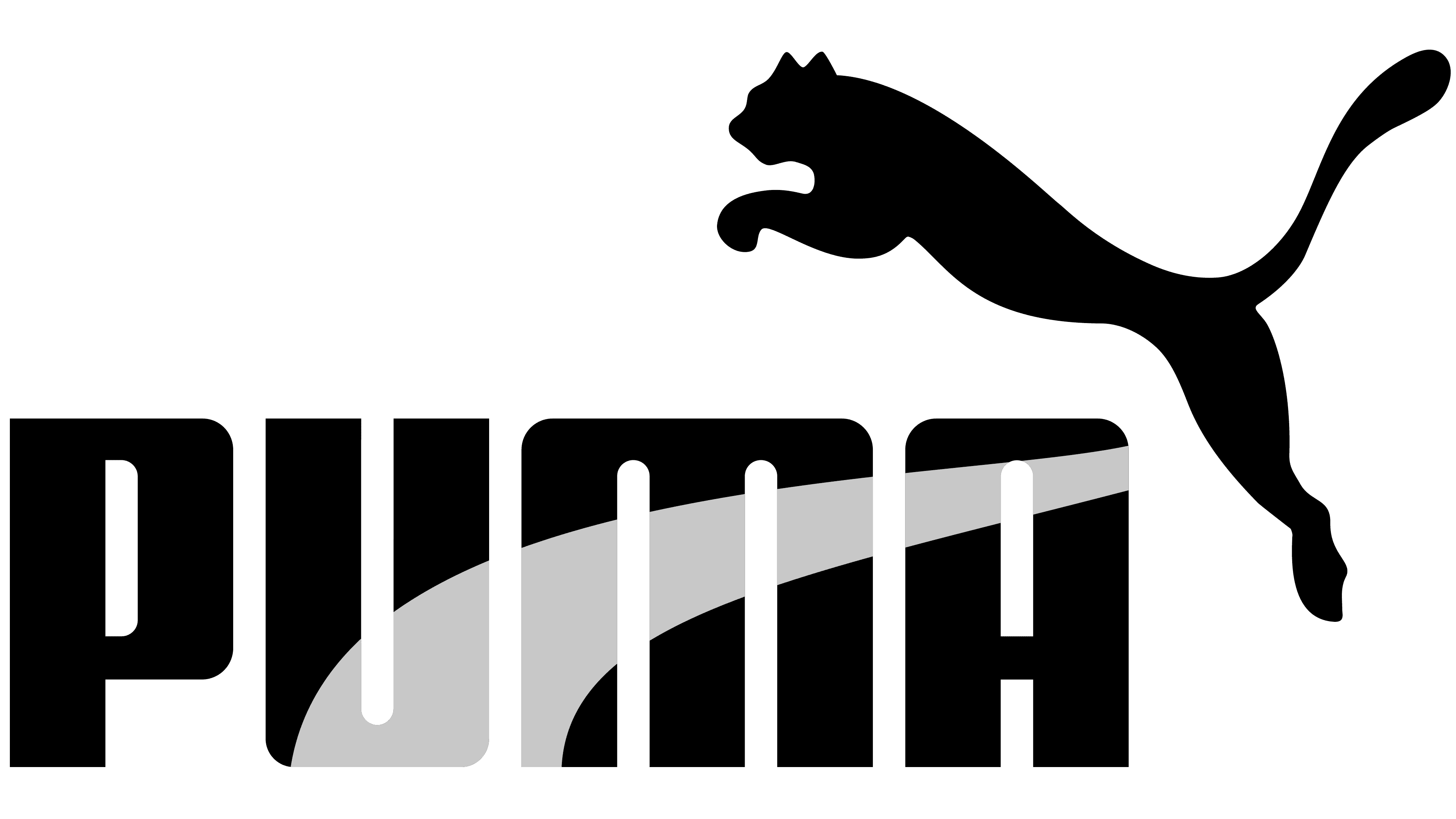 Puma 1980 1980 – 1988