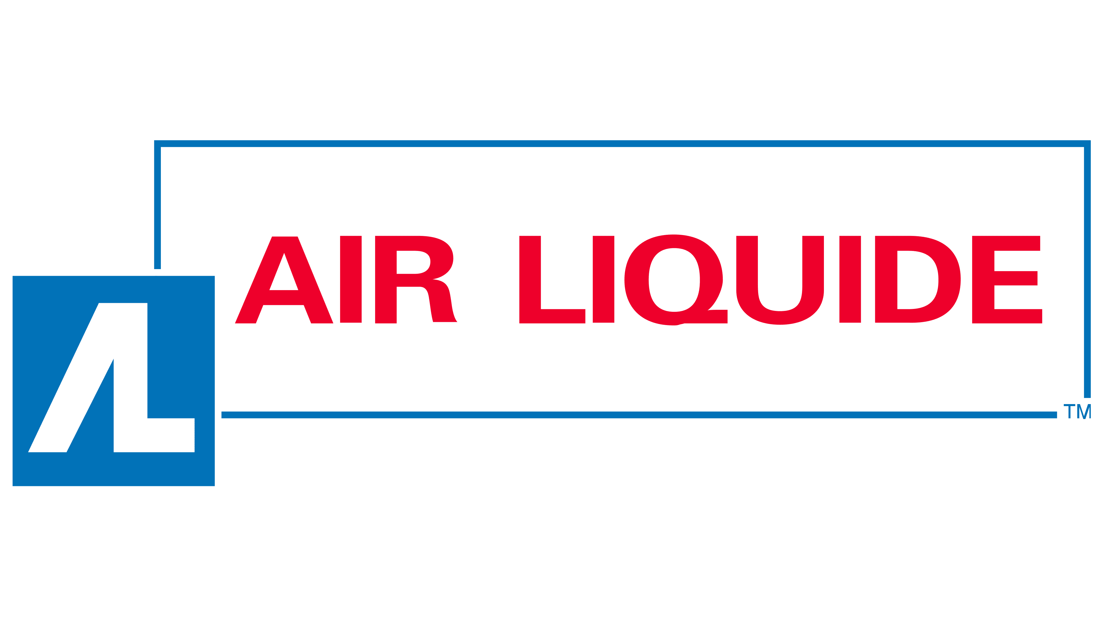 Air Liquide 1991 1991 – 2017