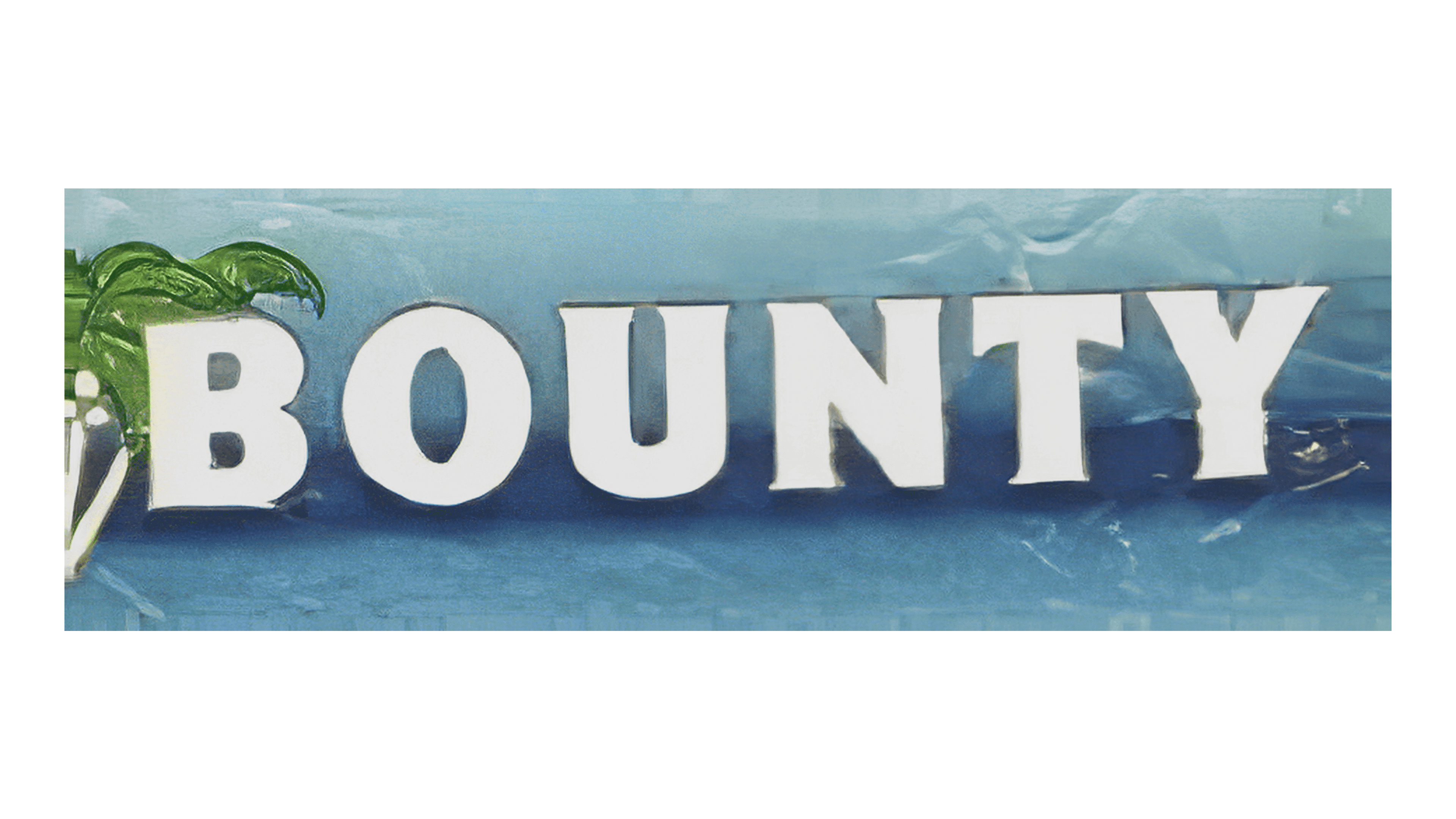 Bounty 1991 1991 – 1999