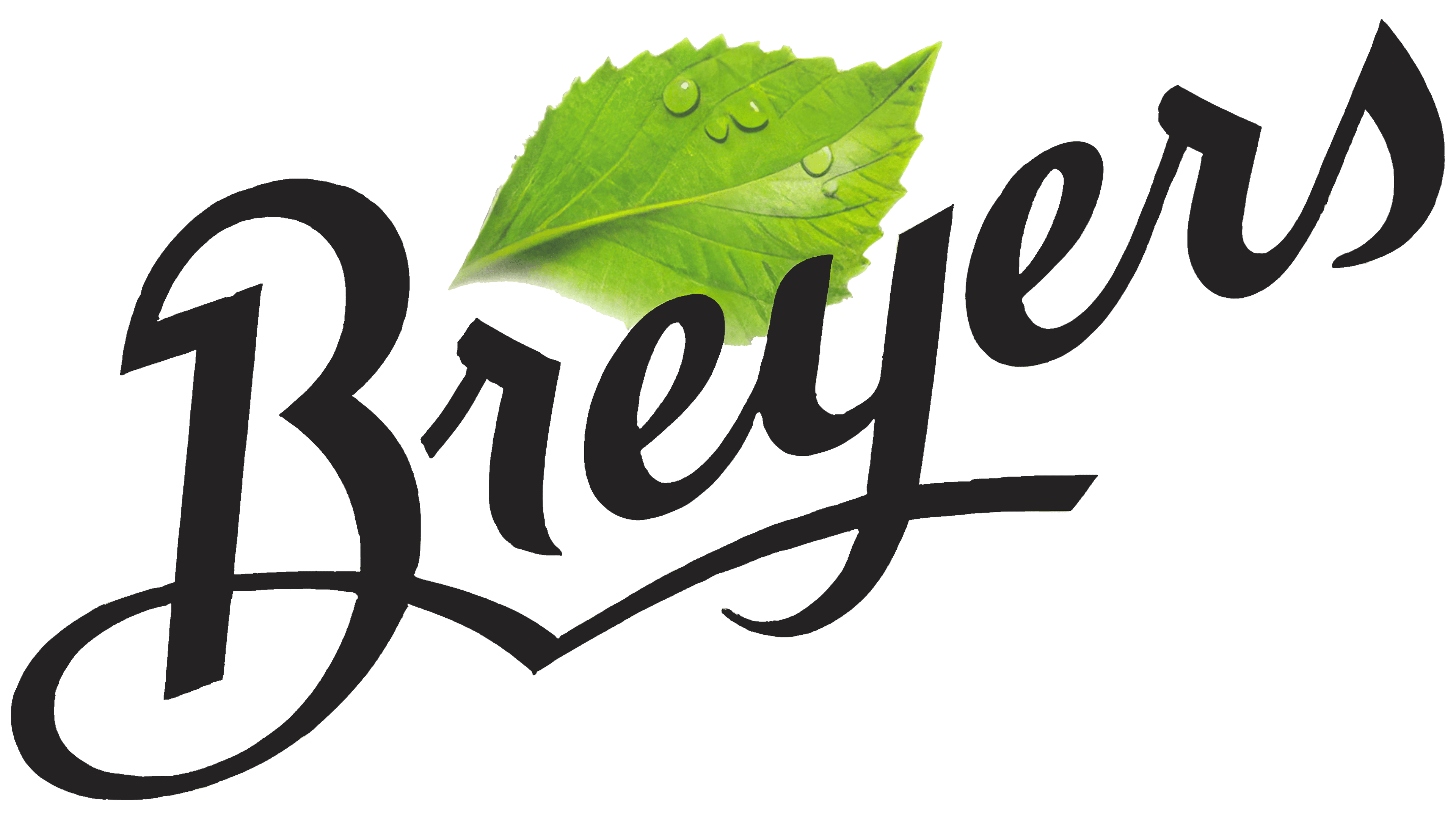 Breyer’s 2009 2009 – 2013
