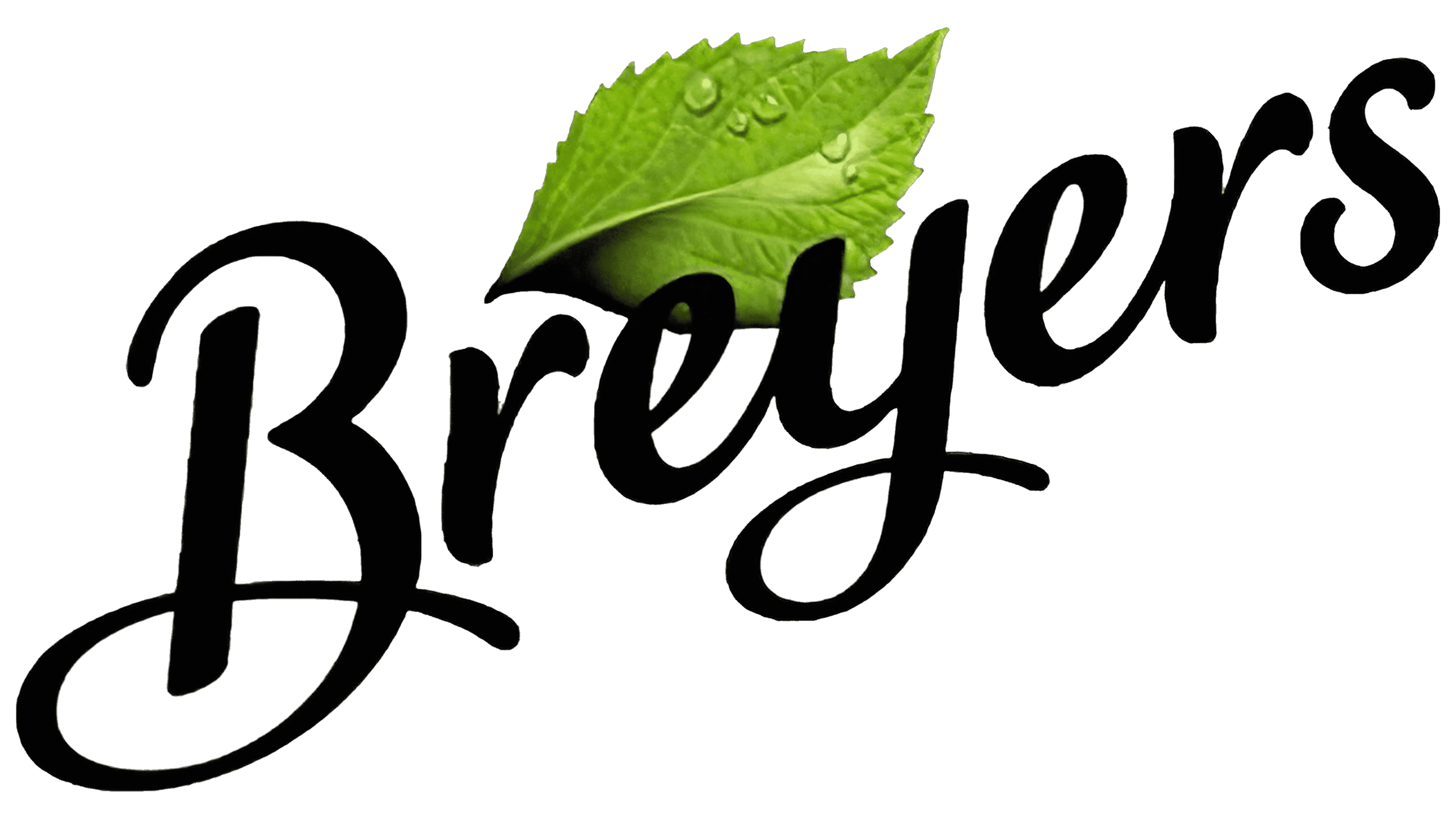 Logo von Breyer’s