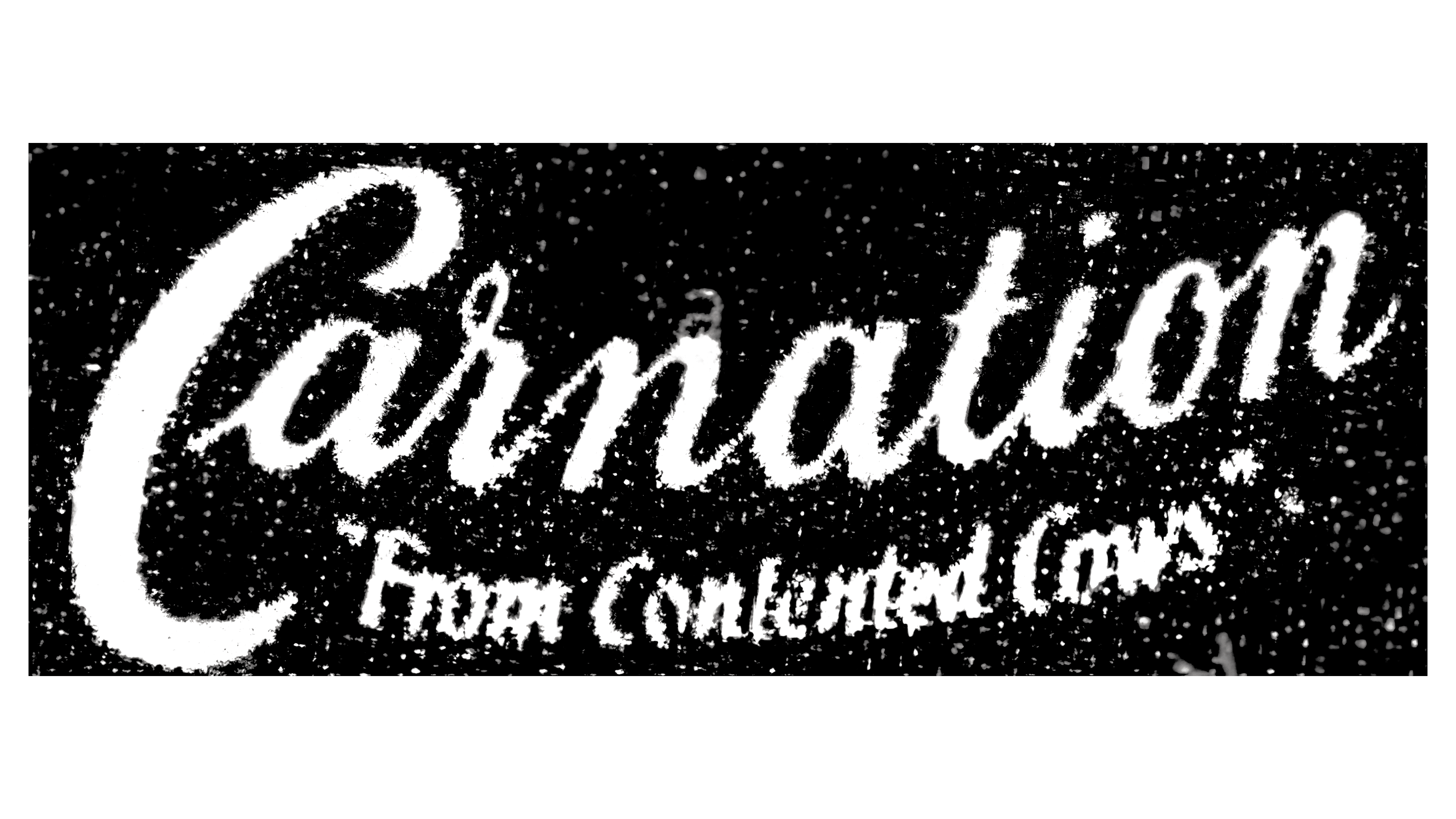Carnation 1899 1899 – 1945