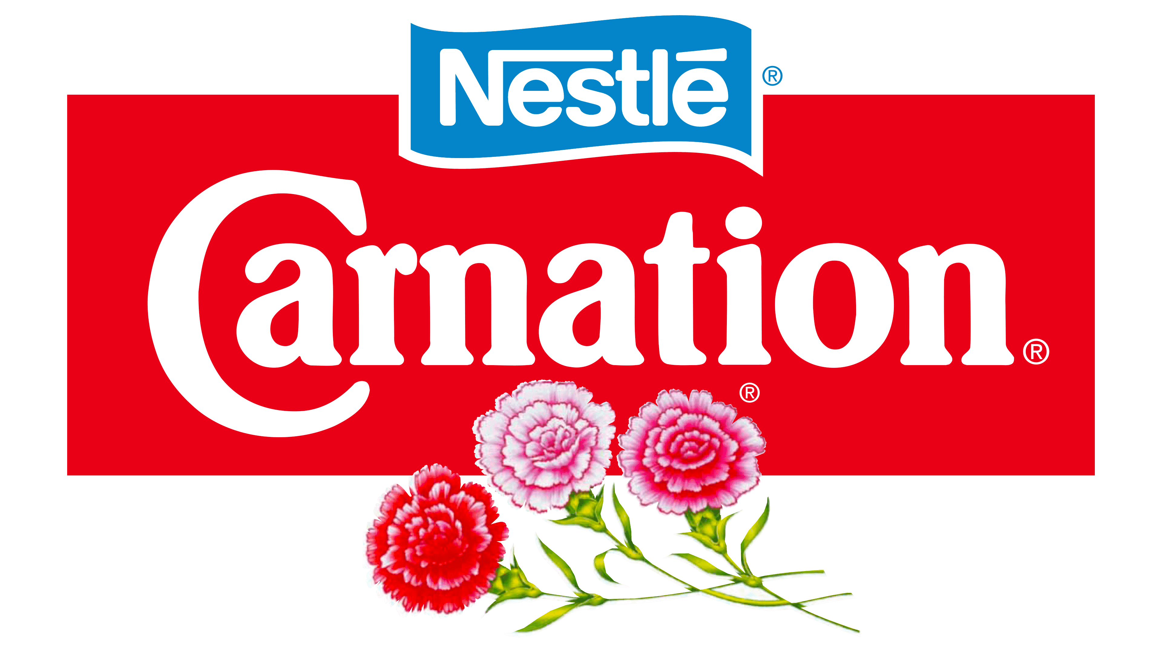 Carnation 1996 1996 – 2004