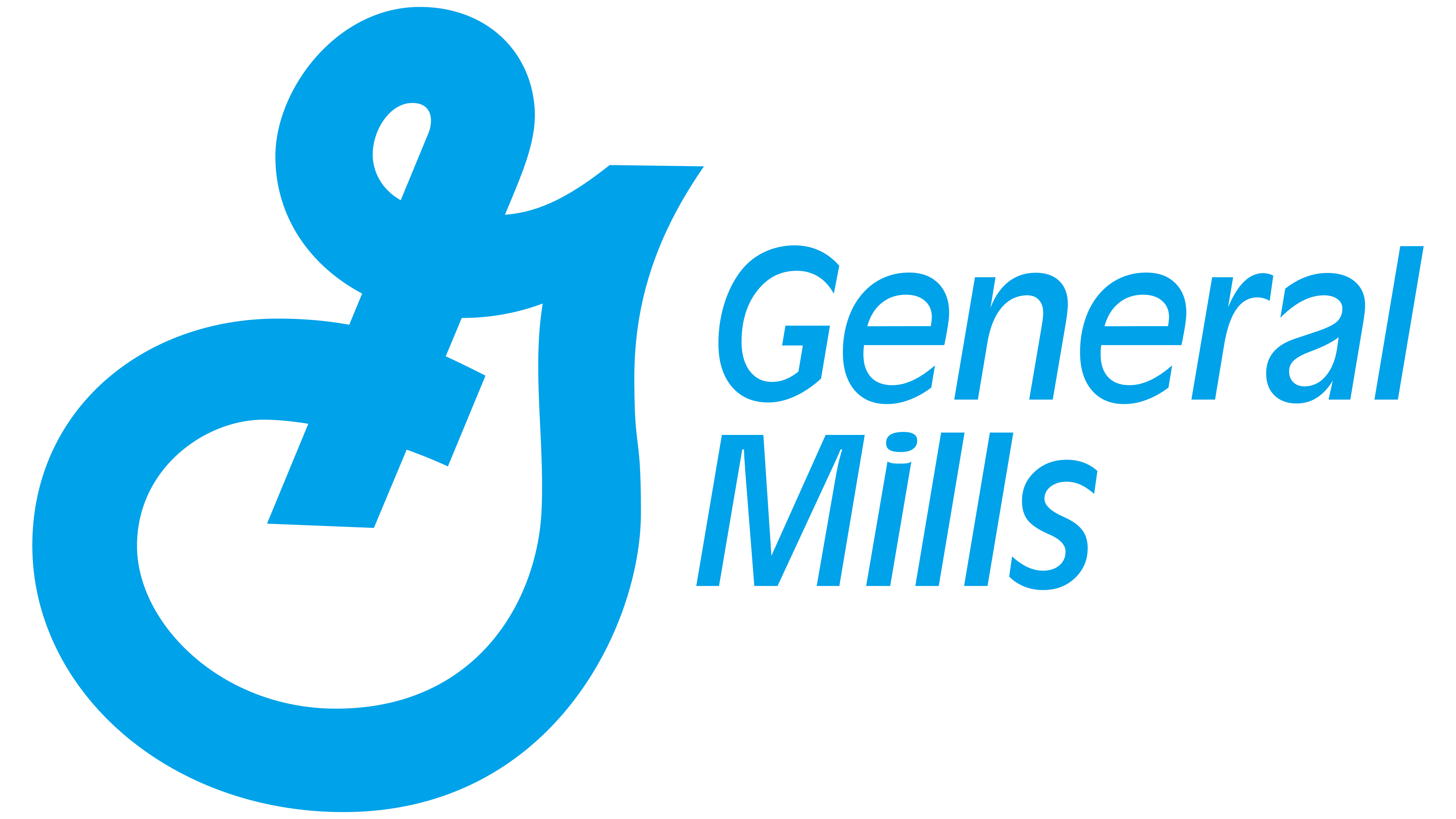 General Mills 1989 1989 – 2003