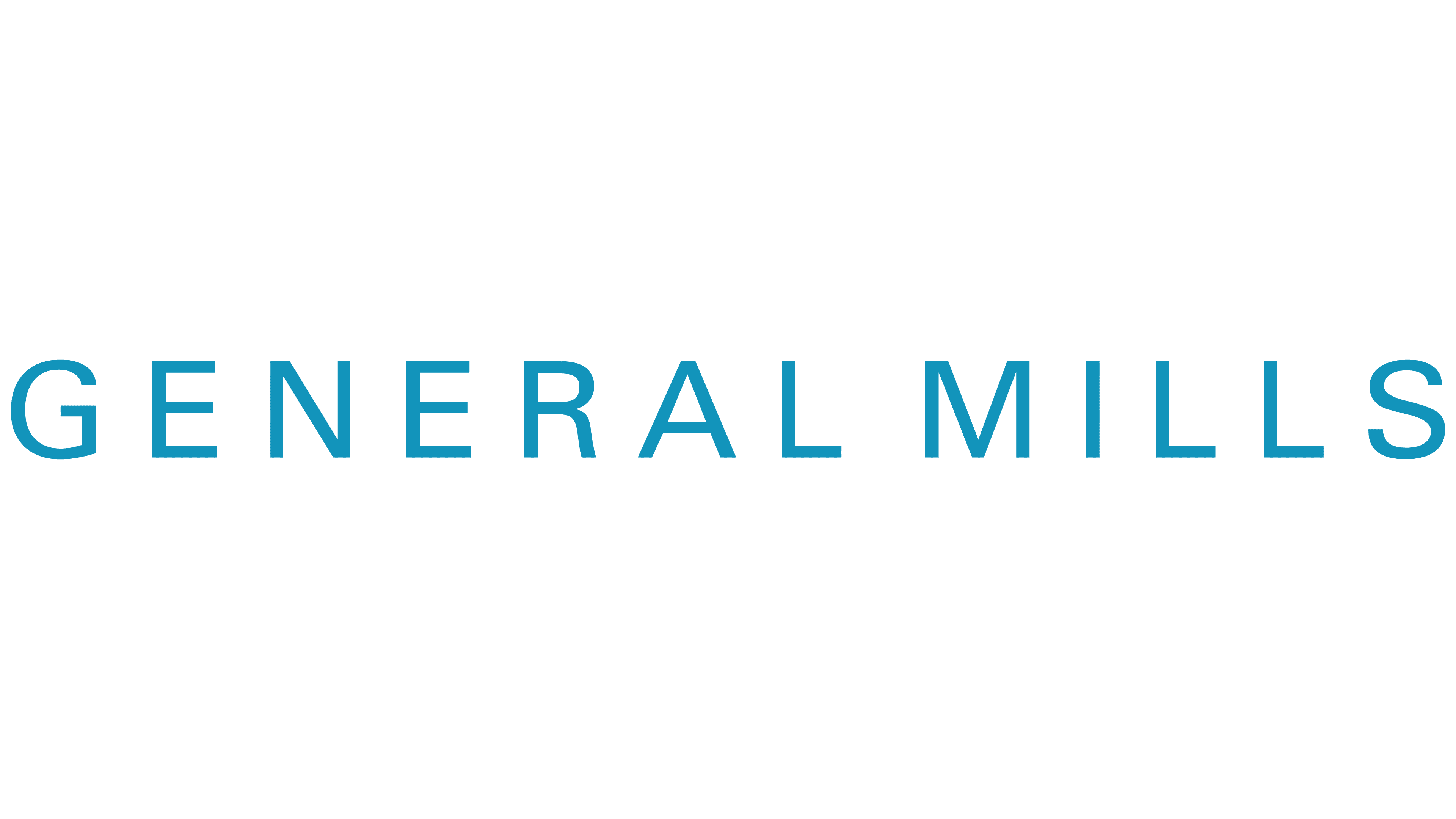 General Mills 2002 2002 – 2004