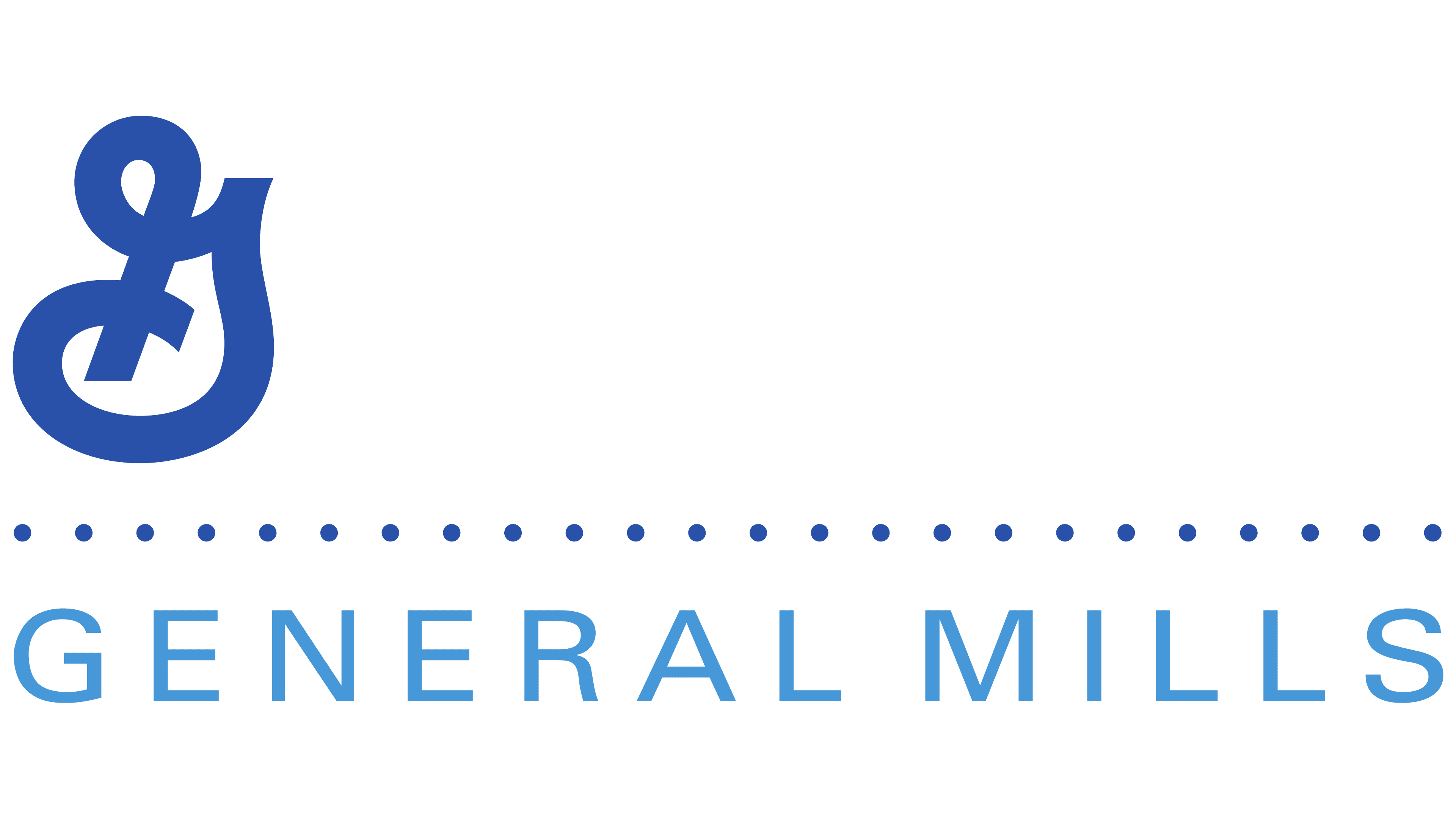 General Mills 2004 2004 – 2017