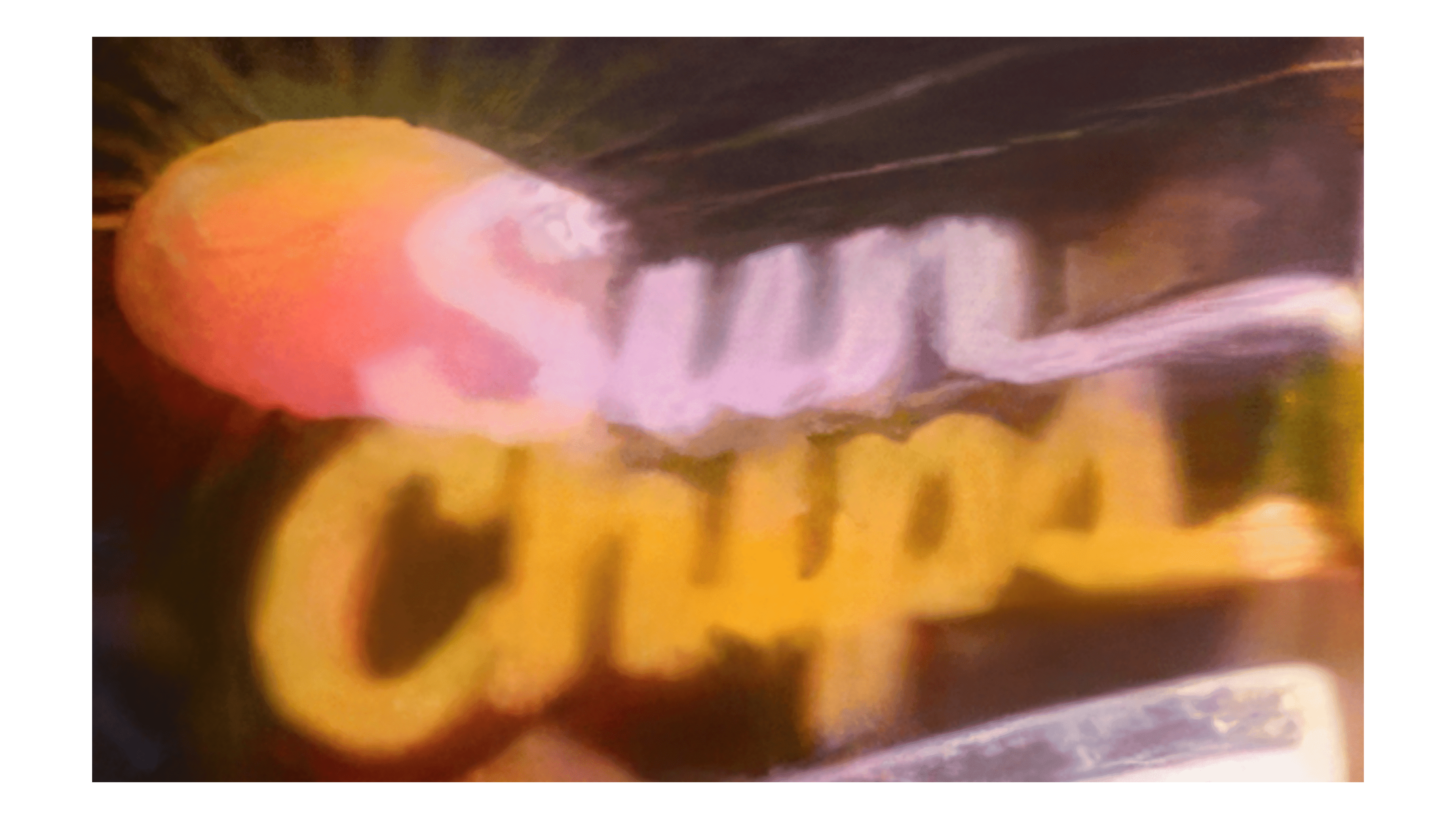 SunChips 1991 1991 – 2000